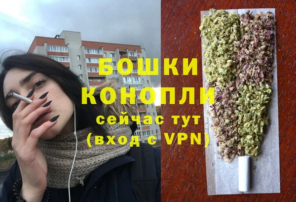 мяу мяу мука Абаза