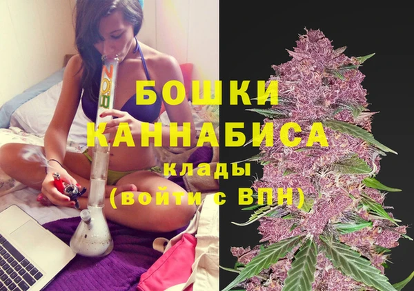 первитин Дмитриев