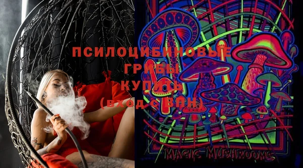бошки Абинск