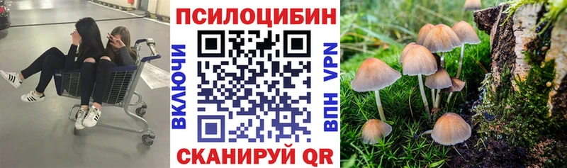 Галлюциногенные грибы GOLDEN TEACHER  цена   Новая Усмань 